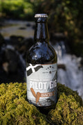 Pilot Gig